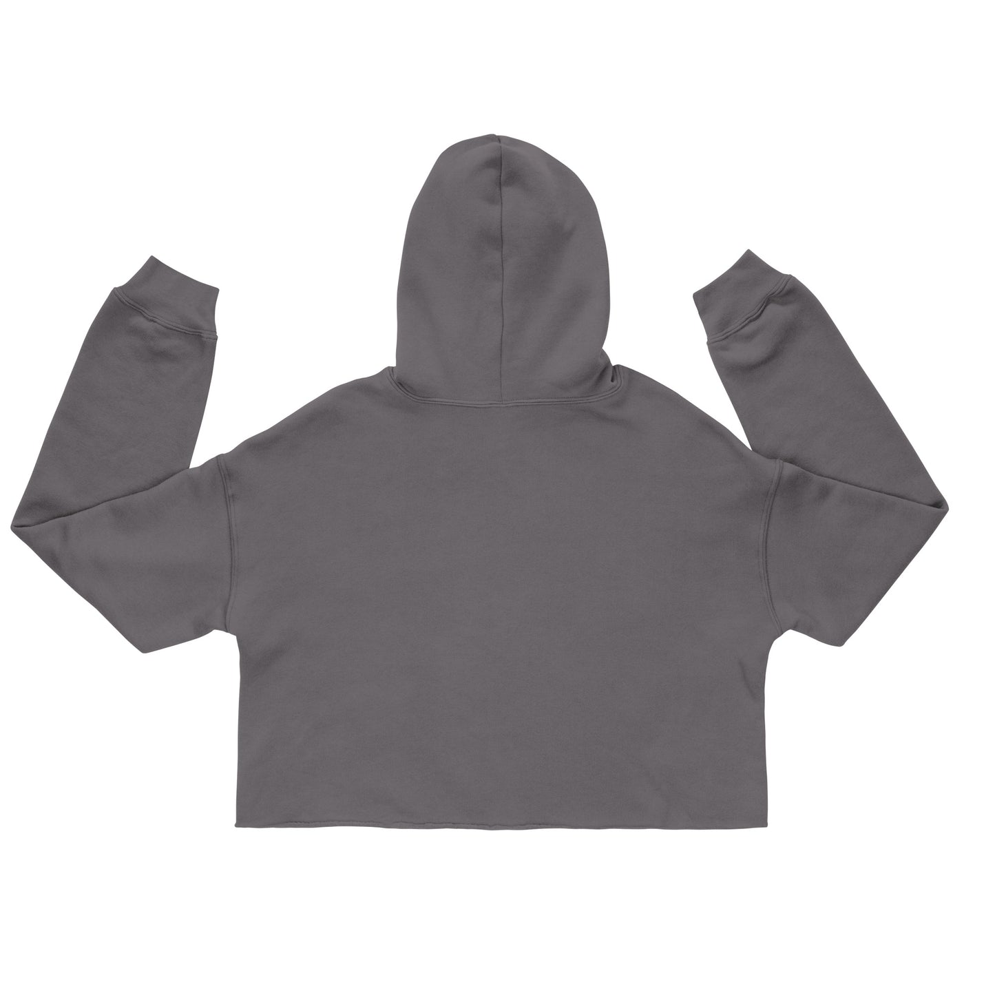 80's Anime Otter Eyes - Crop Hoodie