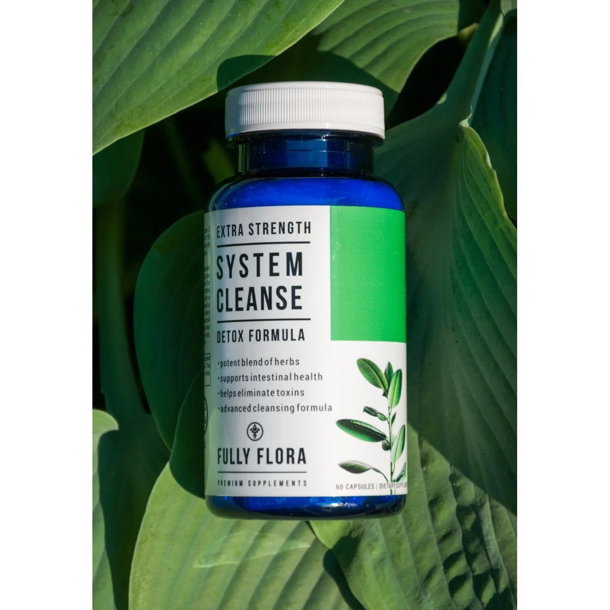 Extra Strength System Cleanse Detox (60 Capsules)